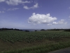 © cyclo-long-cours.fr