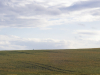 20260612-P6120100_Paysage